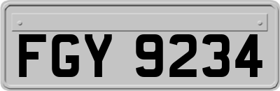 FGY9234