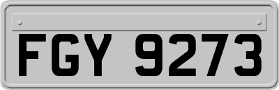 FGY9273