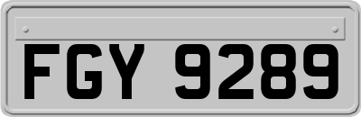 FGY9289