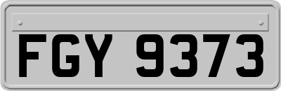FGY9373