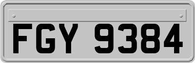 FGY9384
