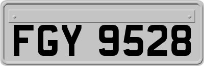 FGY9528