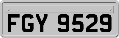 FGY9529