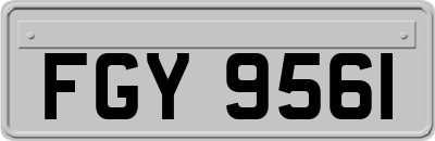 FGY9561