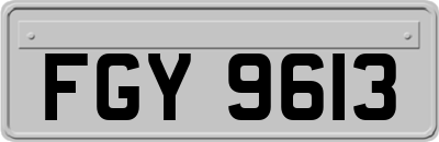 FGY9613