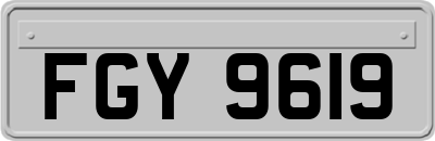 FGY9619