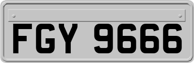 FGY9666