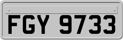 FGY9733