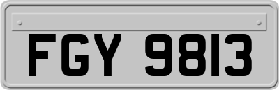 FGY9813