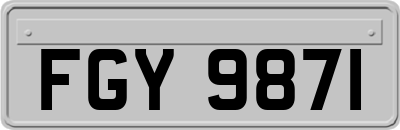 FGY9871
