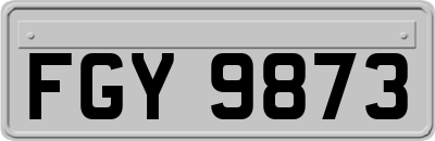 FGY9873