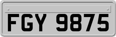 FGY9875
