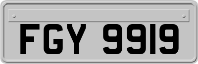 FGY9919