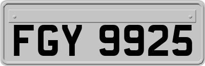 FGY9925