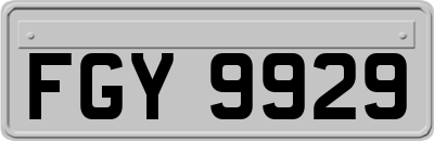 FGY9929