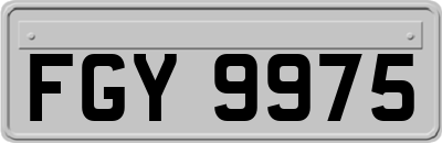 FGY9975
