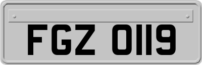 FGZ0119