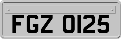 FGZ0125