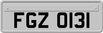 FGZ0131