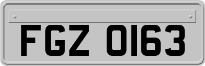 FGZ0163