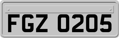 FGZ0205