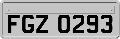 FGZ0293