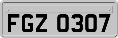 FGZ0307