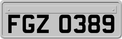 FGZ0389