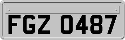 FGZ0487