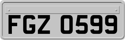 FGZ0599