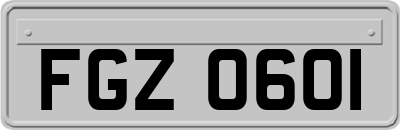 FGZ0601