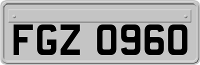 FGZ0960