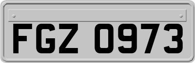 FGZ0973