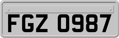 FGZ0987