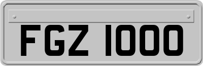 FGZ1000