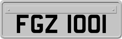 FGZ1001