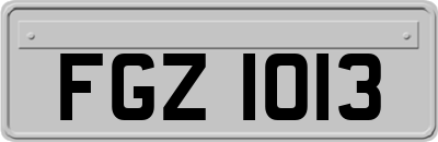 FGZ1013