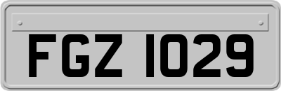 FGZ1029