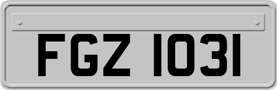 FGZ1031
