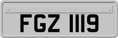 FGZ1119