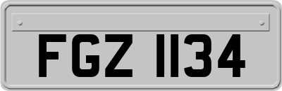 FGZ1134