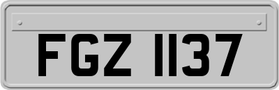FGZ1137