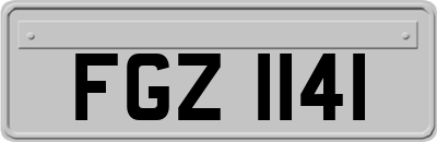 FGZ1141