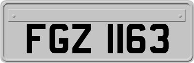 FGZ1163