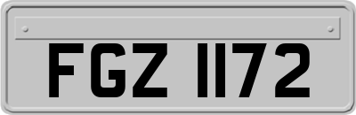 FGZ1172