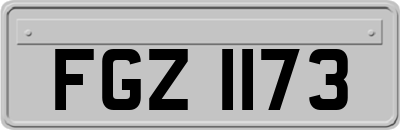 FGZ1173