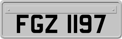 FGZ1197