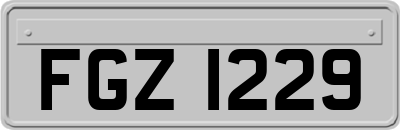 FGZ1229