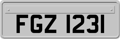 FGZ1231