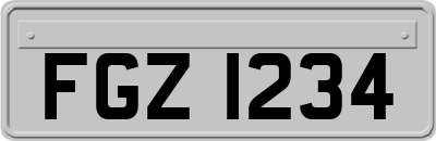 FGZ1234